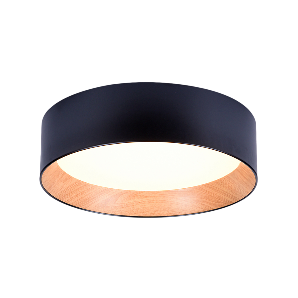 APLIQUE DE TECHO LL9493C